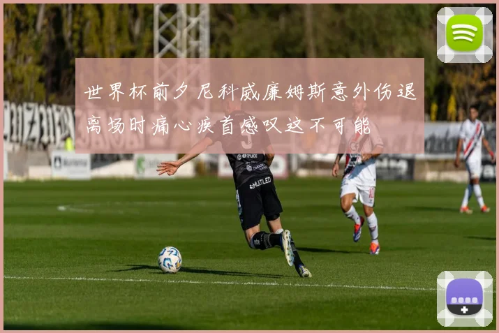 世界杯前夕尼科威廉姆斯意外伤退离场时痛心疾首感叹这不可能