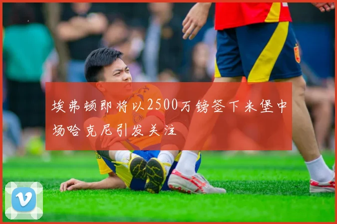 埃弗顿即将以2500万镑签下米堡中场哈克尼引发关注