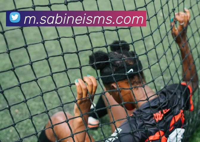 雷火体育平台官网品牌故事